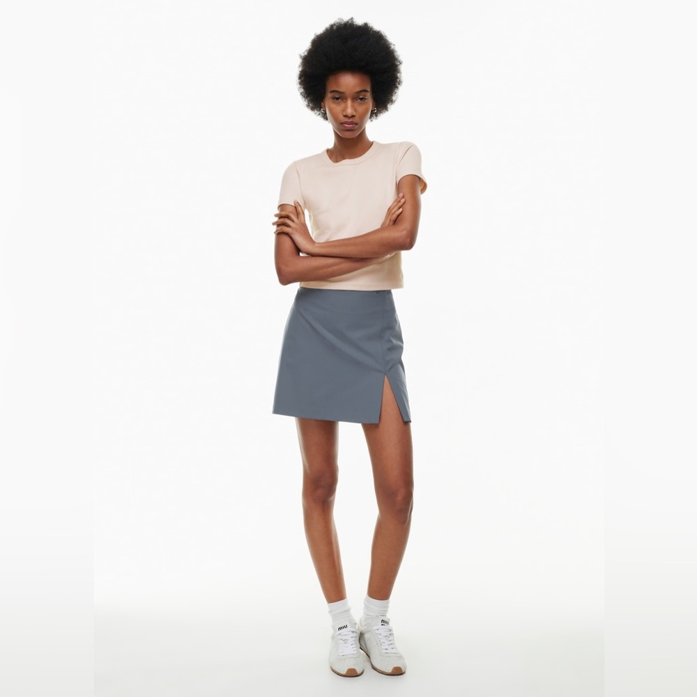 Aritzia Sunday Best Tatiana Skirt